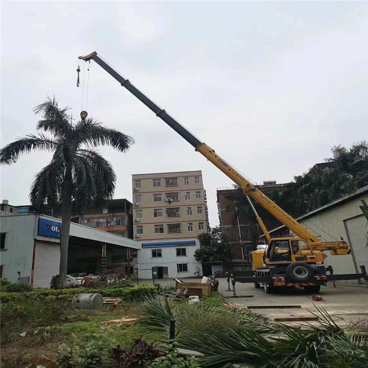 寿县汽车吊出租多少钱？全面解析与市场行情